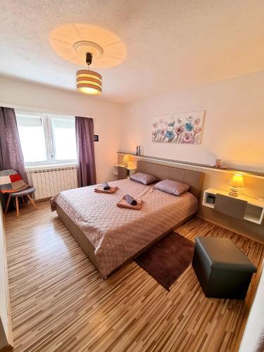 Apartment Villa Engel With Pool