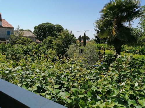 Apartamento Summertime In Porec