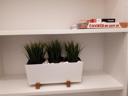 Apartamentos Villa Zoe