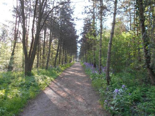 Apartamento Ferienapartment-monteurwohnung-muldestausee