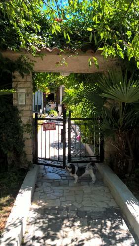 Apartment Jozefina