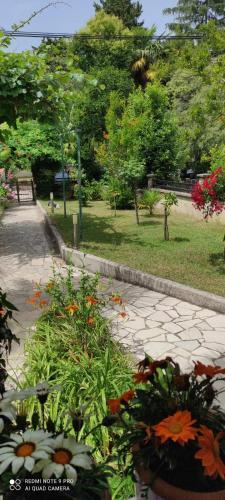 Apartment Jozefina