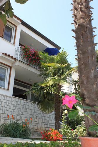 Apartments Gemma