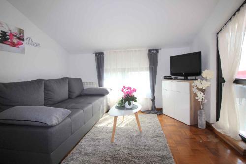 Apartment In Porec/istrien 36860