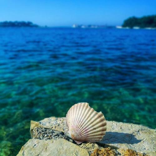 Apartmani Marina Pore?