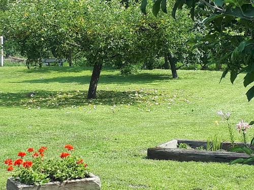 Hostal Cs�ka Apartman P�pa