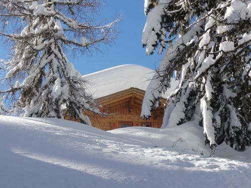 Apartamento Chalet Faschingalm