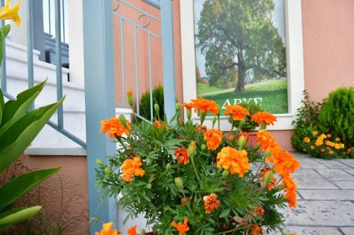 Apartamentos Studios Pantelis Corfu