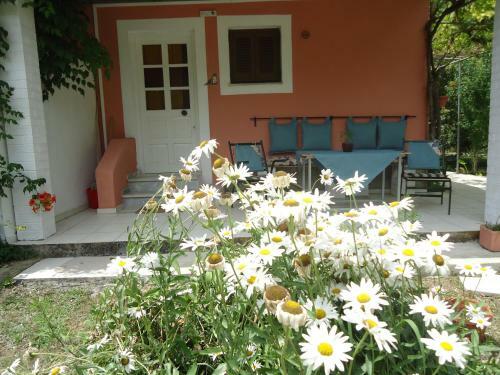 Apartamento Errika