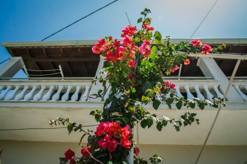 Apartamento Athina