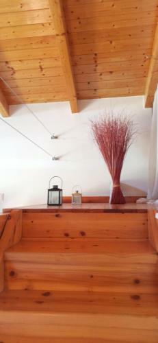 Aria Guest House