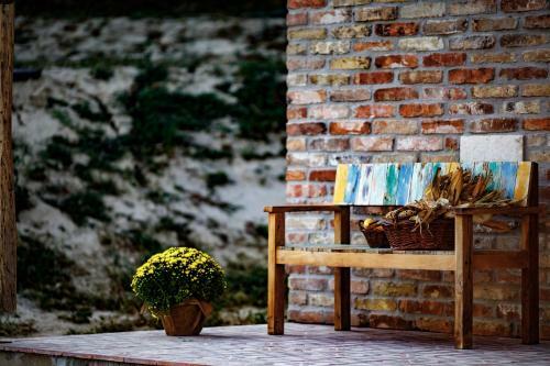 Hostal Bor�rium Vend�gh�zak - Zenit H�z