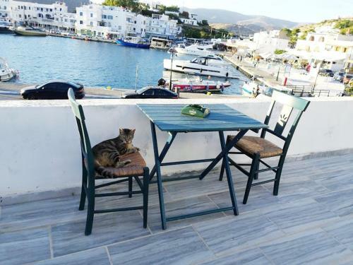 Yacht Front Apartment (No 1)