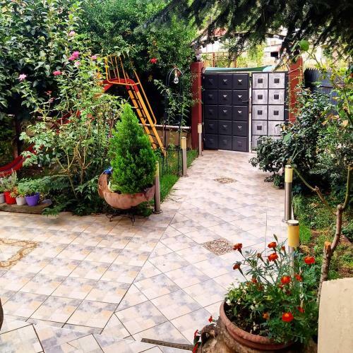 Alexandras Cozy Apartment Ioannina
