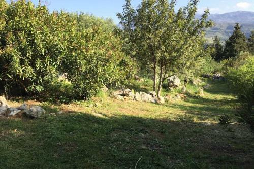 Villa Kalamitsi Amigdali Home With A Stunning View
