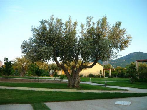Apartamento Cosmos Resort