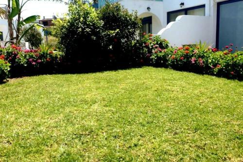 Villa The Citrus House