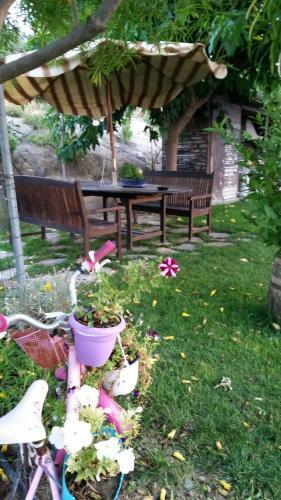 Apartamento Alexandra Homestay