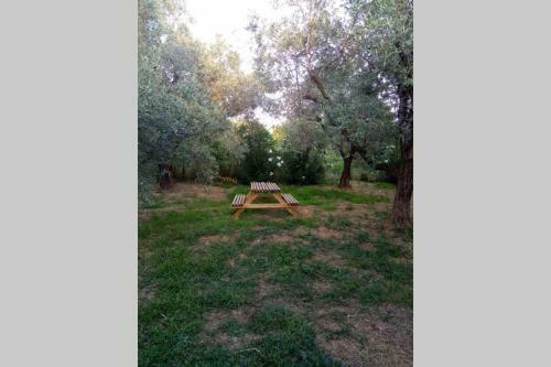 Irinis Cottage