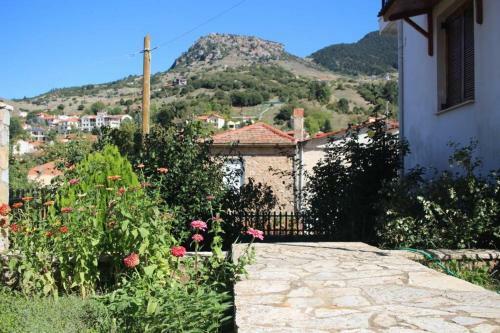 Apartamento Velia Guesthouse