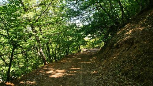 Chalet Coquelicot (co-cli-co) Relax In Nature