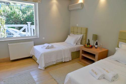 Black Diamond Luxury Seafront Villa Melina