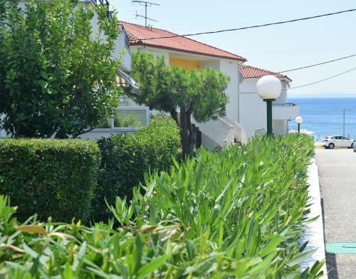 Halkidiki M?re