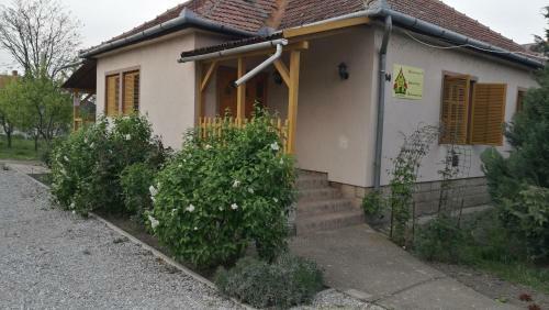 Lepk�s Vend�gh�z