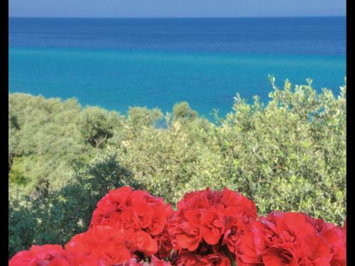 Villa Chrysi
