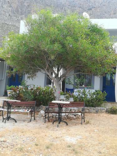Apartamento Sylvia's Houses