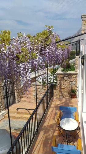 Evelinas Apartement