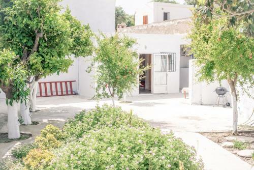 The Stone House Of Iakovos