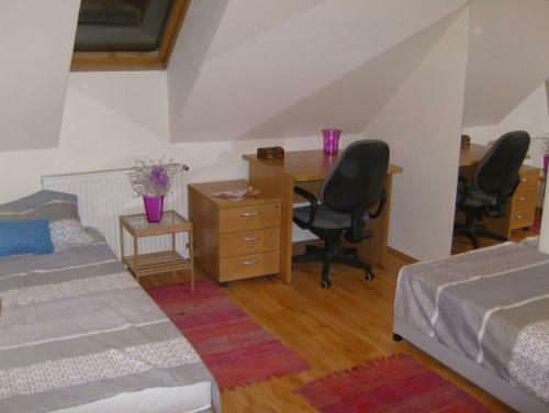 Hostal Csapd Le Csacsi Vend�gh�z