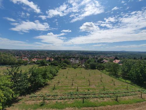 Bed & Breakfast Bagoly Pincesor Fogado