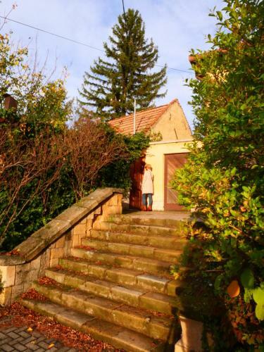 Apartamento Tettyei H�zik�