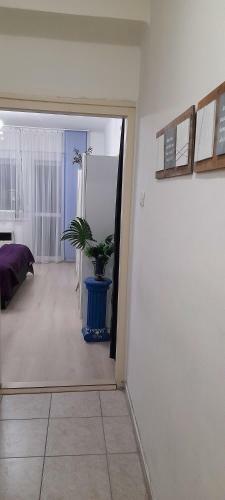 Apartamento P�cs Central
