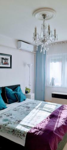Apartamento P�cs Central