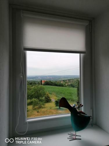 Apartamento Boldogv�lgyi Vend�gh�z