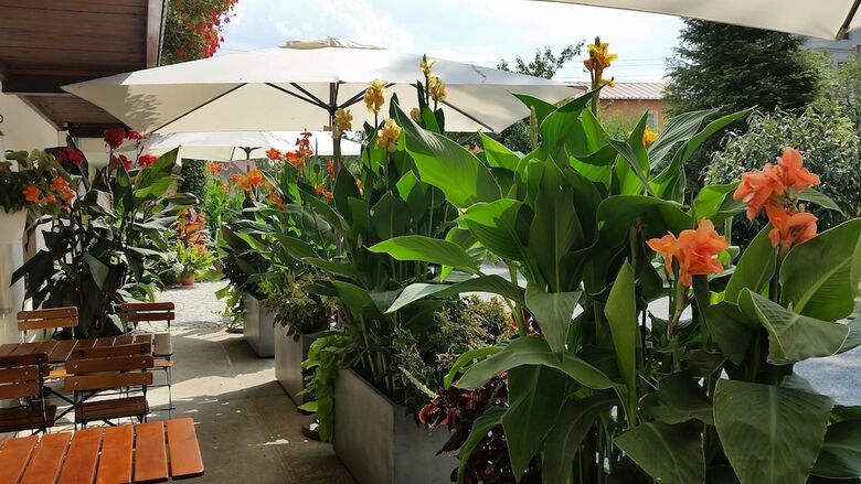 Hostal Hotel Sonnenhof Garni