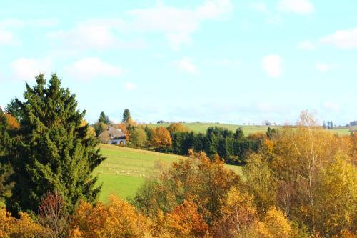 Hostal Les Alisiers