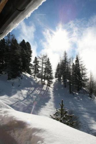 Haus Elisabeth Apartments