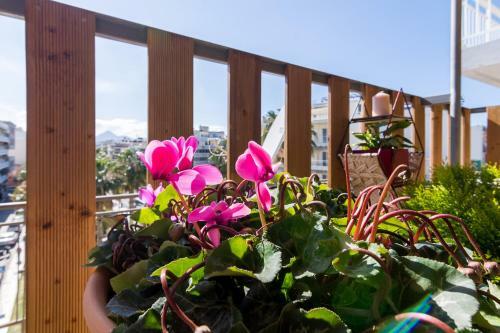 Sunny Apartment With Amazing View
