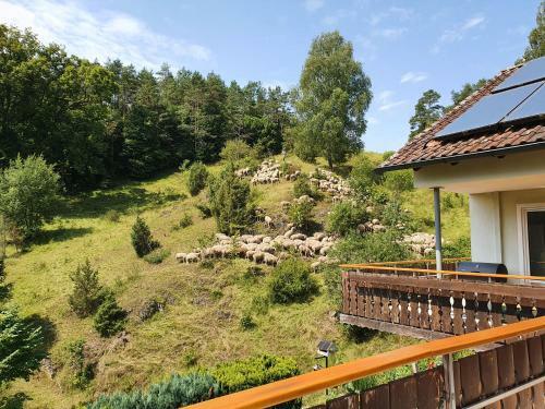 Apartamento Haus Goldfu�