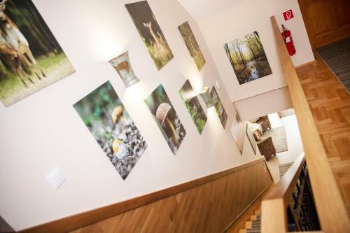Hotel Alir�t Vad�szh�z