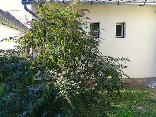 Apartamento Postal�da Vend�gh�z