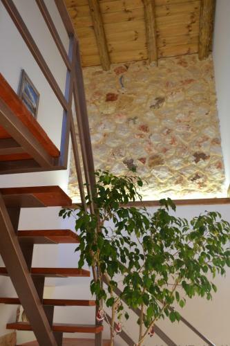 Agroturismo Rumpis Traditional House