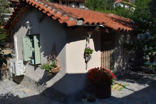 Rina's House