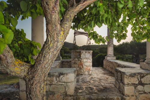 Anthe Villa 1