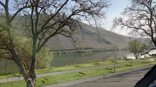 Apartamento Moselblick