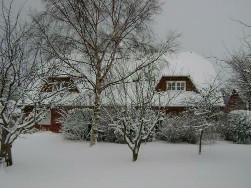 Apartamento Ferienhof B�hnke Nr3